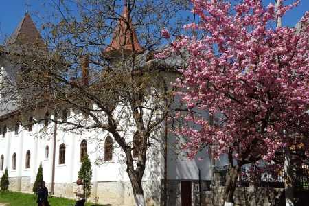 Cluj Napoca, Crama Silvaniei și Mănăstirea Râmeț Circuit 3 zile cu demipensiune